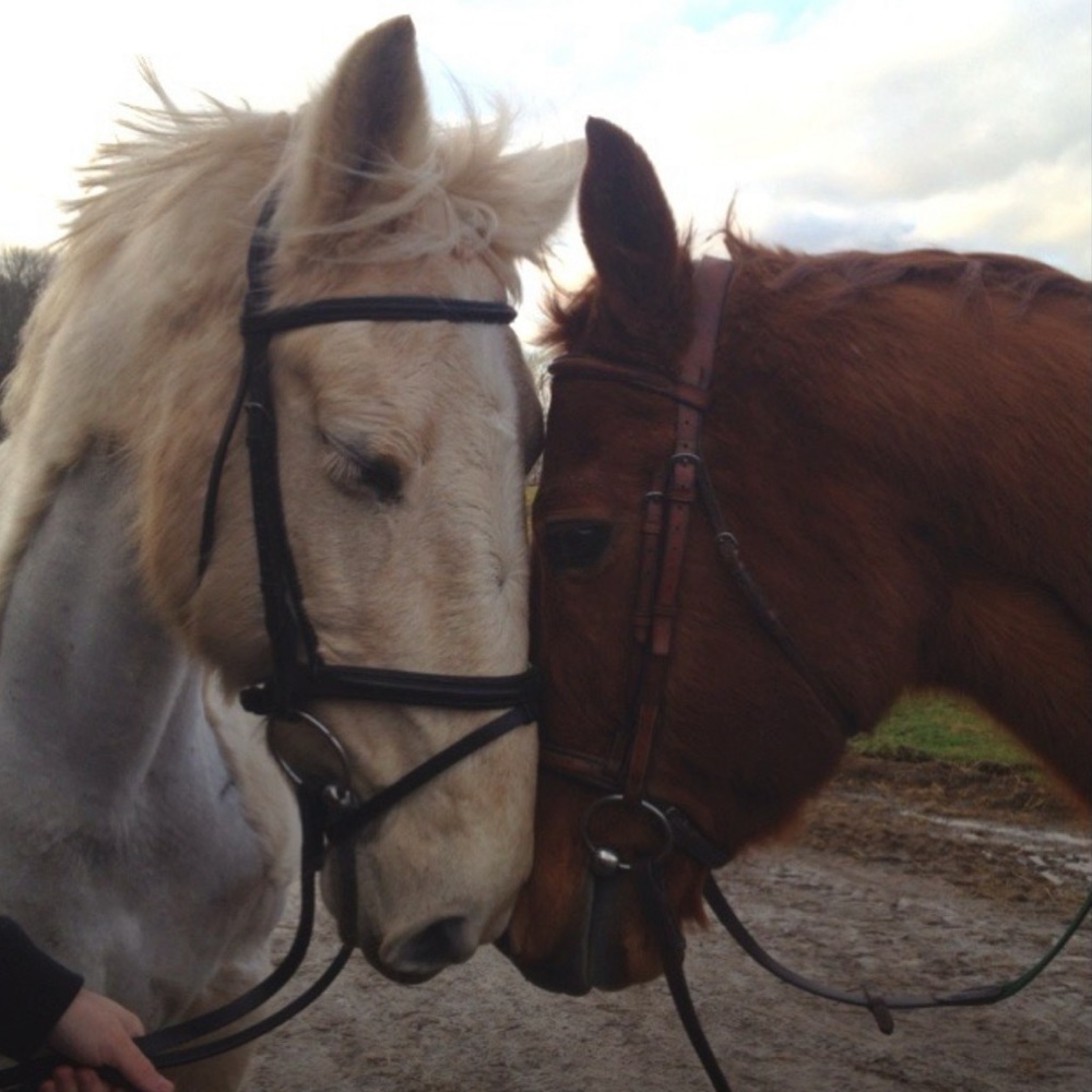 Meet your Posher, Dulce